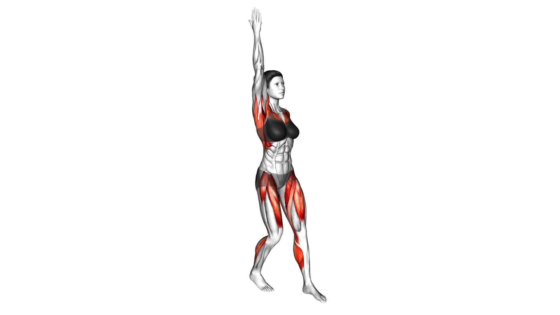 Hand-up Front Step (female) - Video Exercise Guide & Tips