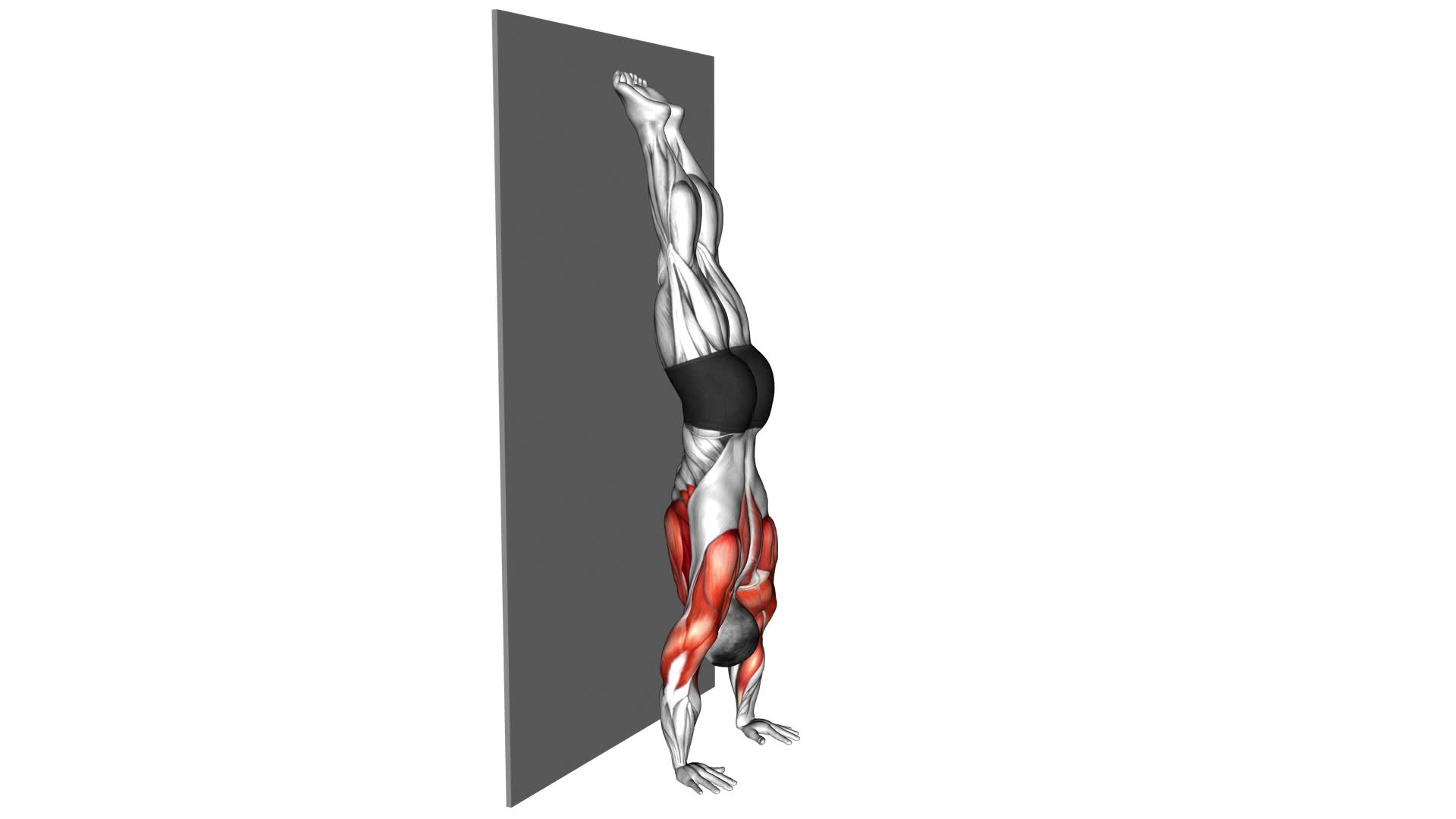 Handstand Against the Wall - Video Exercise Guide & Tips