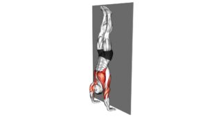Handstand Hold on Wall (male) - Video Exercise Guide & Tips