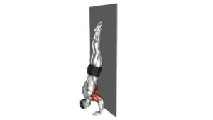 Handstand Push-Up Against the Wall (Male) - Video Exercise Guide & Tips