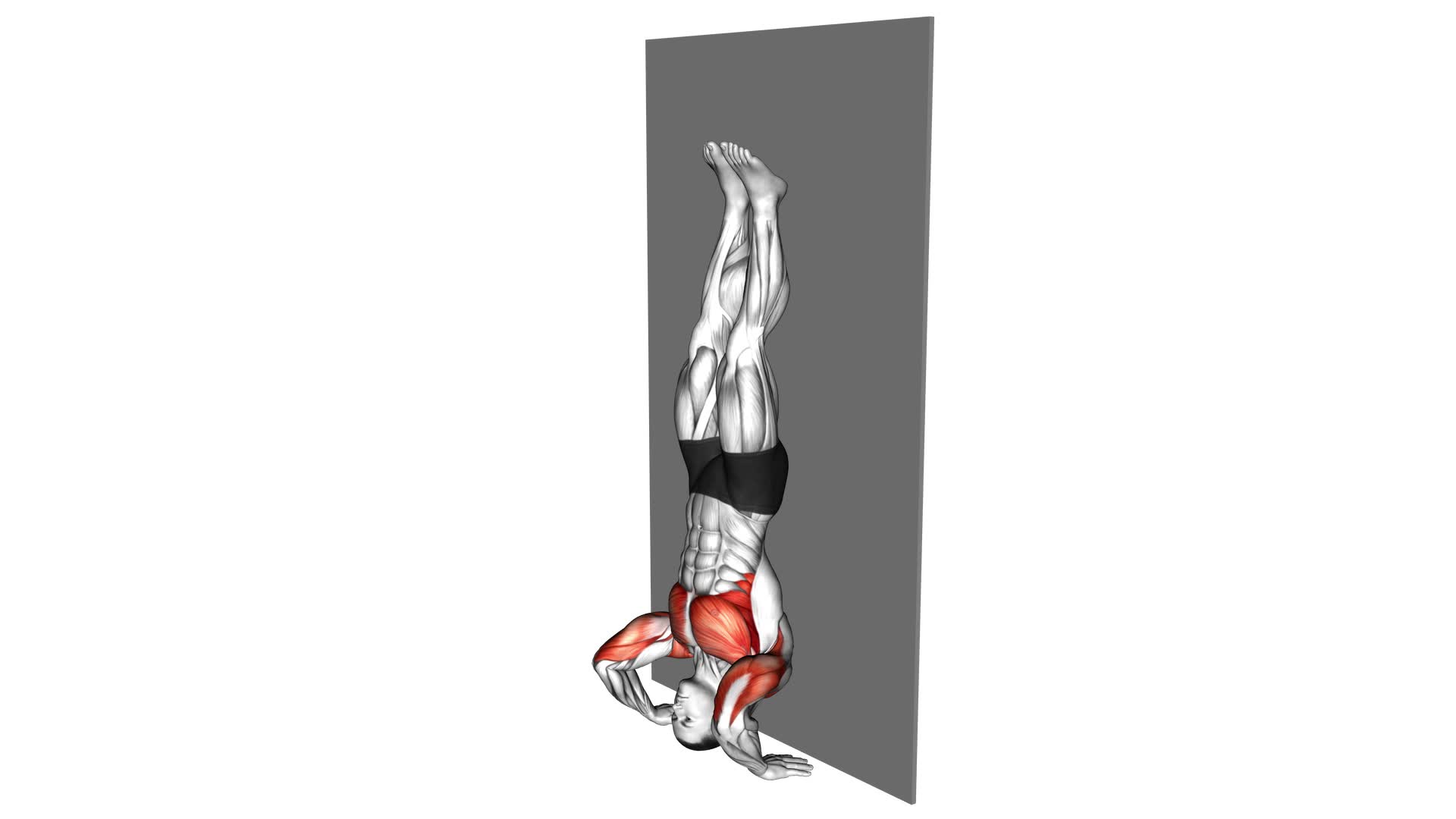 Handstand Push-up (VERSION 2) - Video Exercise Guide & Tips