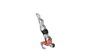Handstand Push-up - Video Exercise Guide & Tips