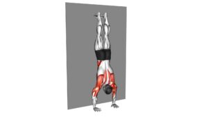 Handstand Shoulder Tap Against the Wall - Video Exercise Guide & Tips