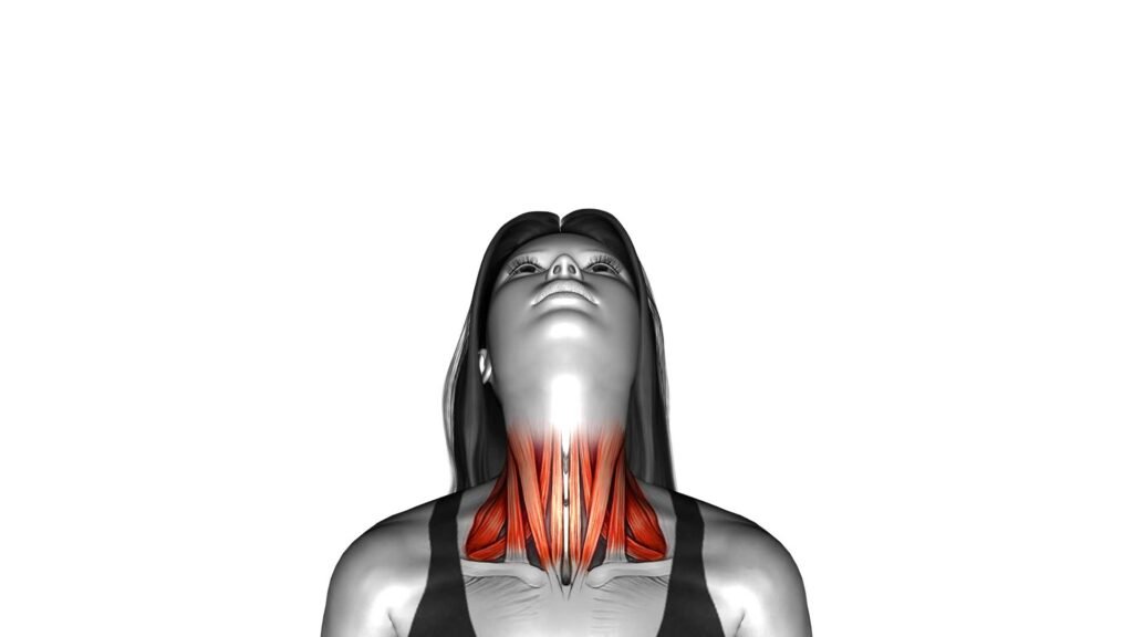 Head Rotation Excercise Full Rotation FPoV (Female) - Video Exercise Guide & Tips: Boost Your ...