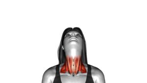 Head Full Rotation Fpov (Female) - Video Exercise Guide & Tips