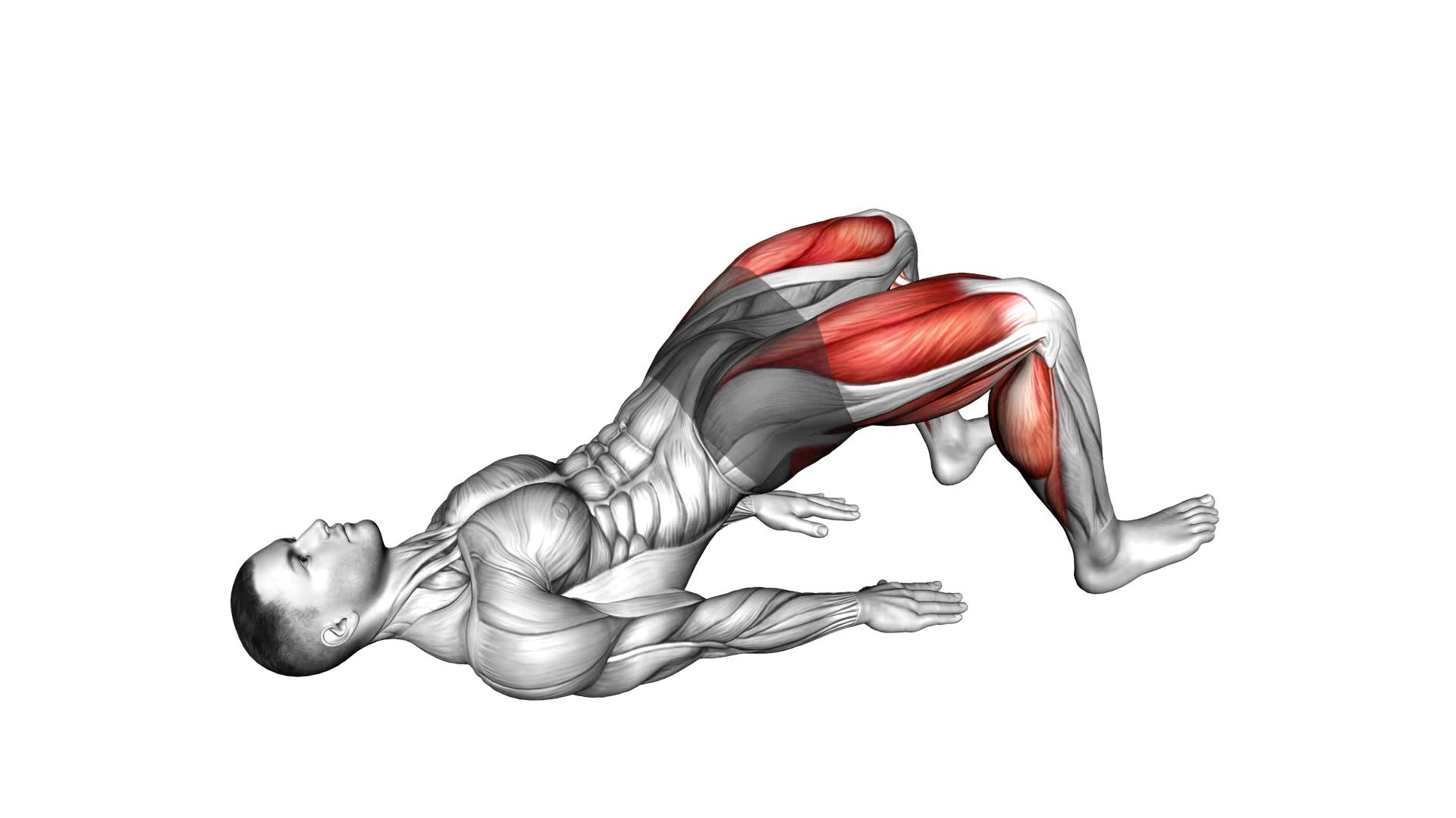 Heel Glute Bridge (male) - Video Exercise Guide & Tips