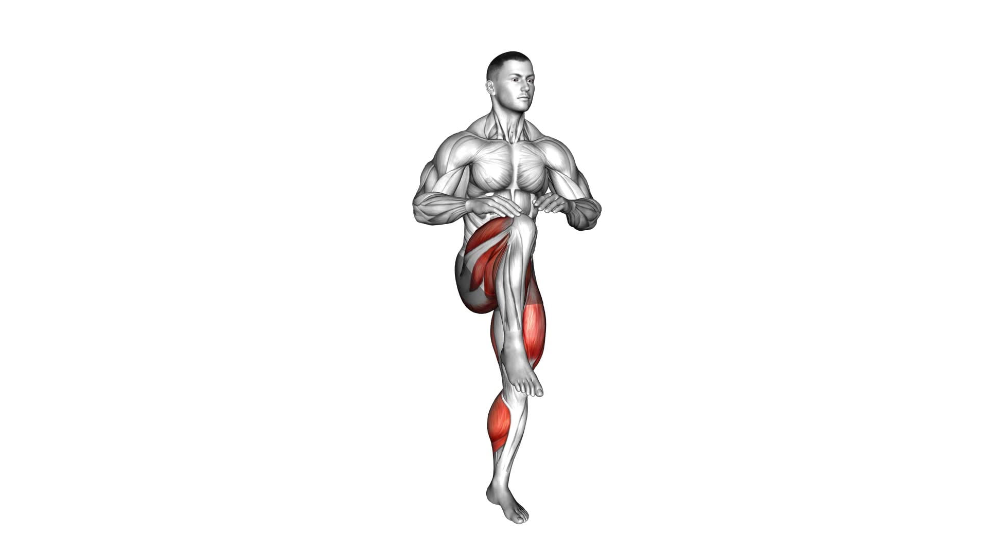 High Knee Run (male) - Video Exercise Guide & Tips