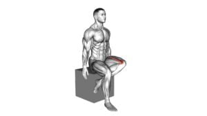 Hip - Lateral Rotation (External Rotation) - Video Exercise Guide & Tips
