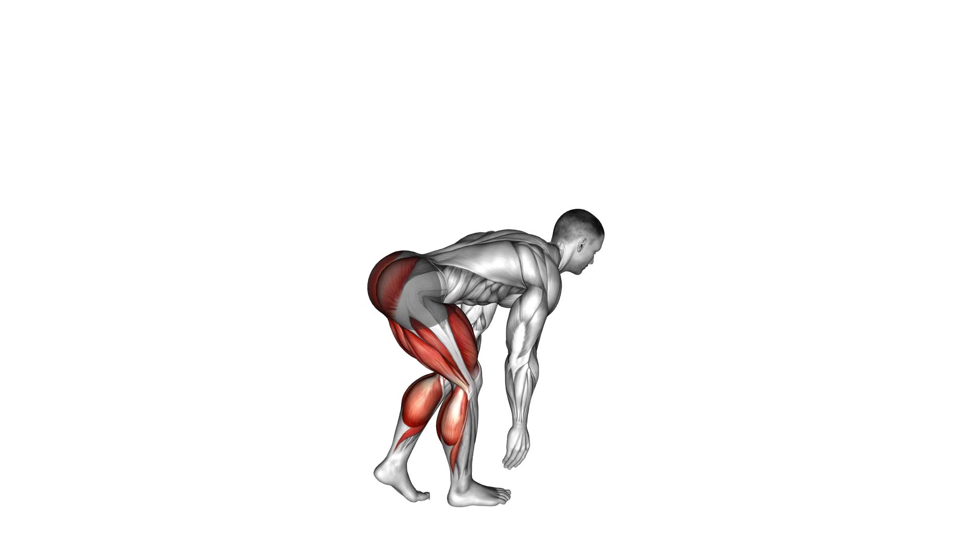 Hip Lunge (male) - Video Exercise Guide & Tips