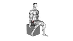 Hip - Medial Rotation (Internal Rotation) - Video Exercise Guide & Tips