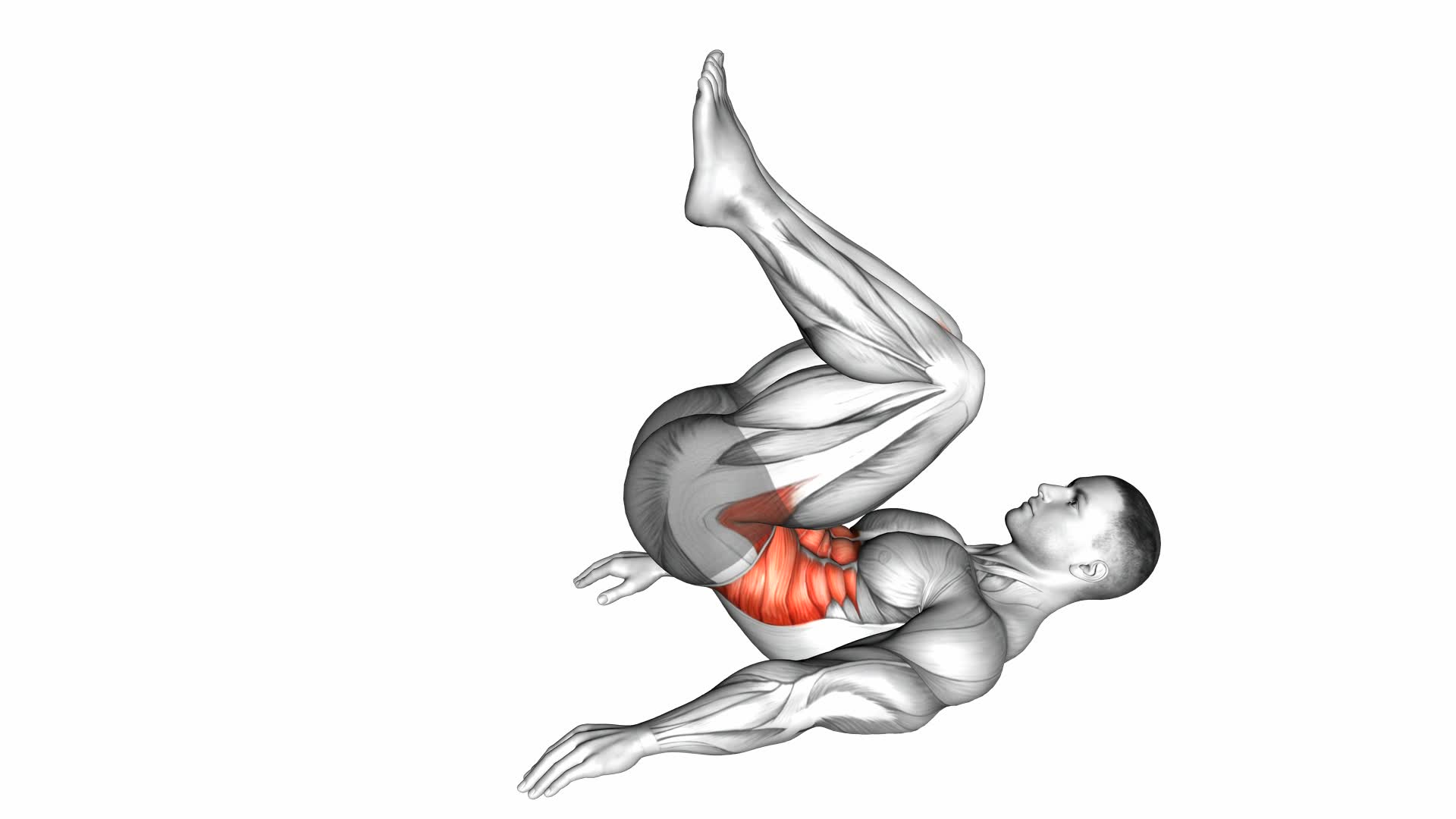 Hip Raise (Bent Knee) - Video Exercise Guide & Tips