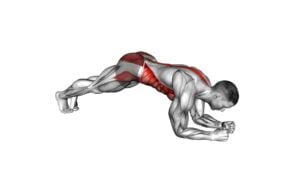 Hip Roll Plank (male) - Video Exercise Guide & Tips