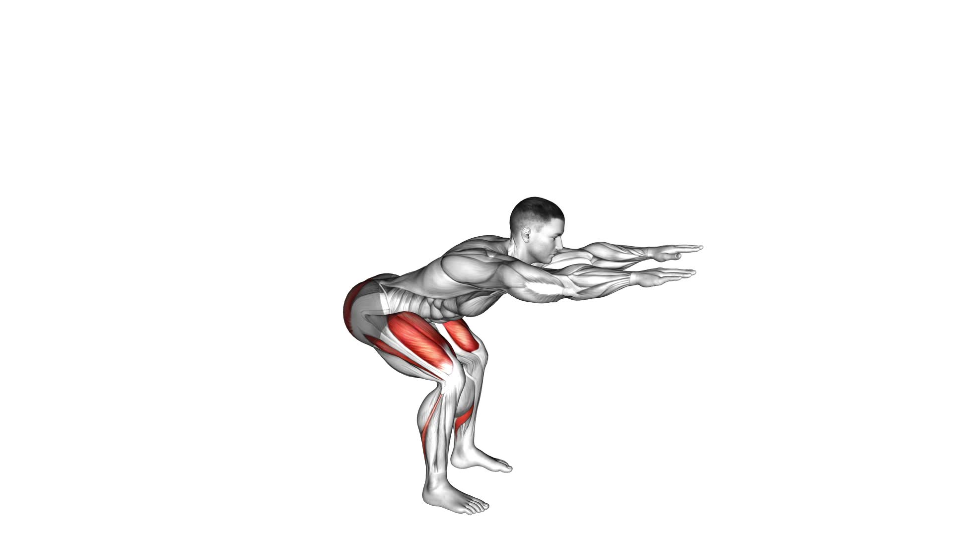 Hip Squat - Video Exercise Guide & Tips
