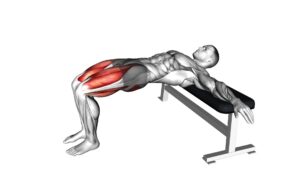 Hip Thrusts - Video Exercise Guide & Tips