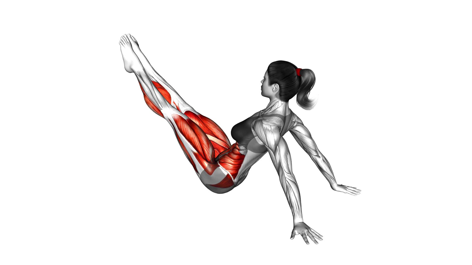 Hip Twist Supported Arms (female) - Video Exercise Guide & Tips