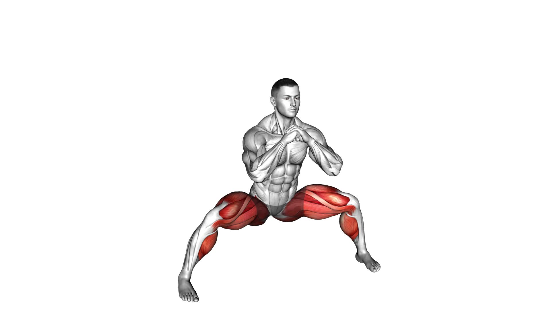 Horse Stance Squat (male) - Video Exercise Guide & Tips