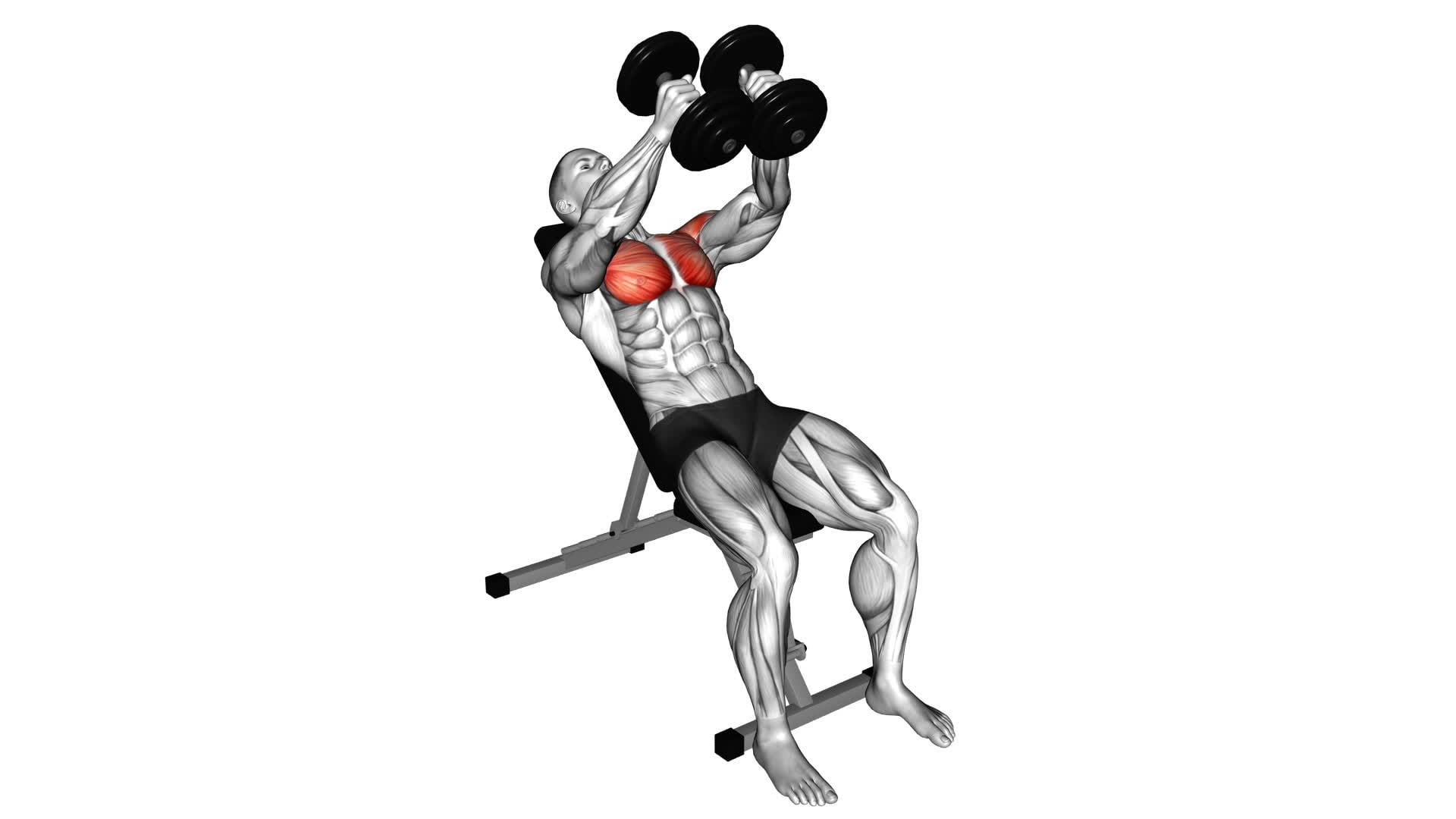 Hyght Dumbbell Fly - Video Exercise Guide & Tips