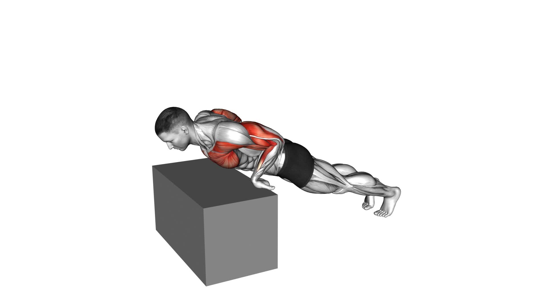 Inclime Reverse Push-up - Video Exercise Guide & Tips