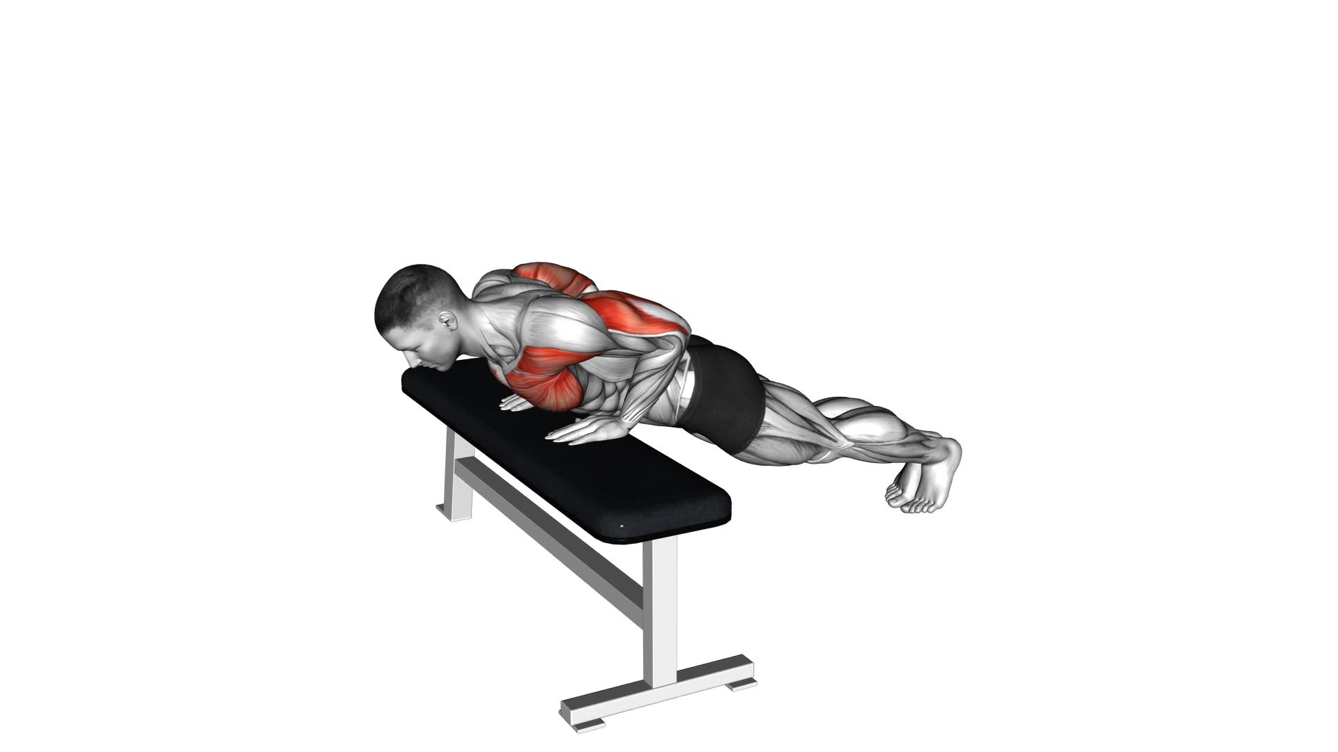 Incline Close Grip Push-up - Video Exercise Guide & Tips