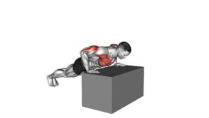 Incline Push-Up (On Box) - Video Exercise Guide & Tips