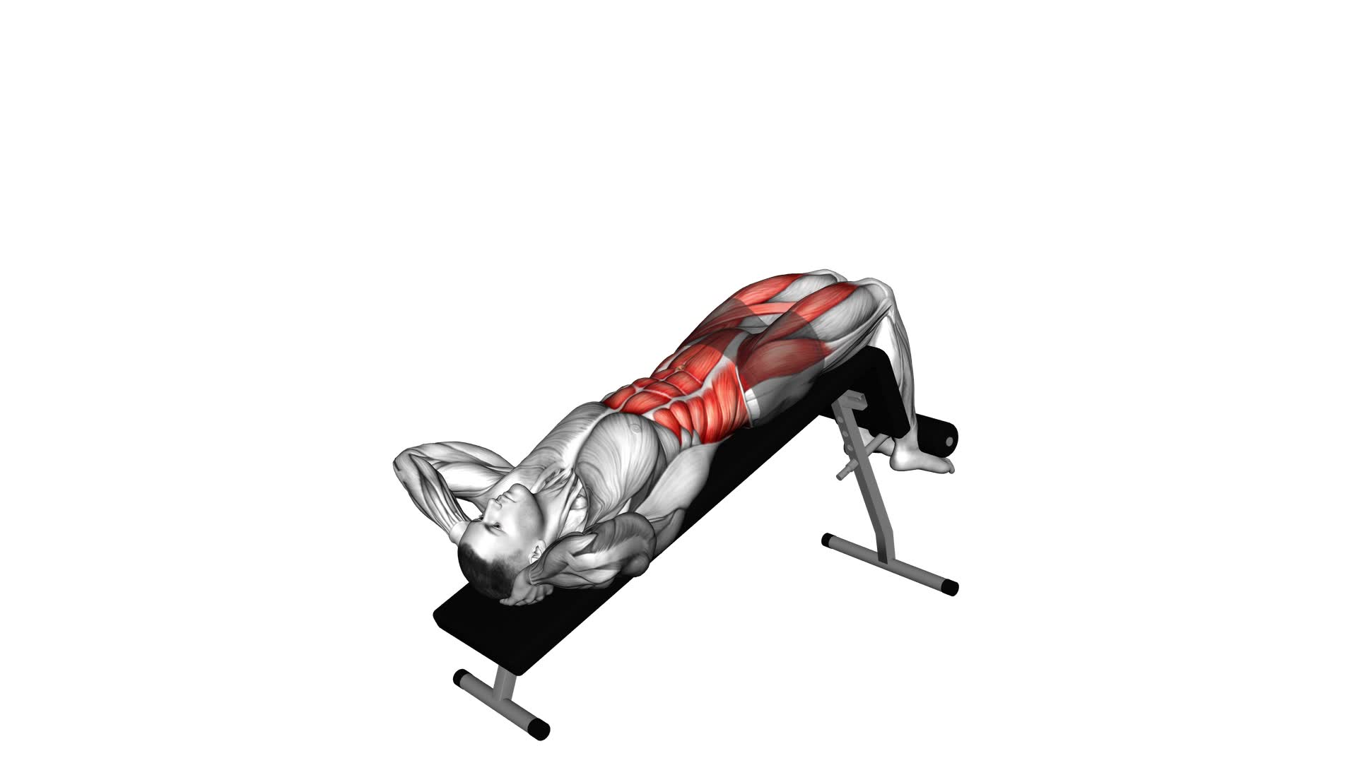 Incline Twisting Sit-up - Video Exercise Guide & Tips