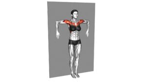 Internal and External Shoulder Rotation Against Wall (Female) - Video Exercise Guide & Tips