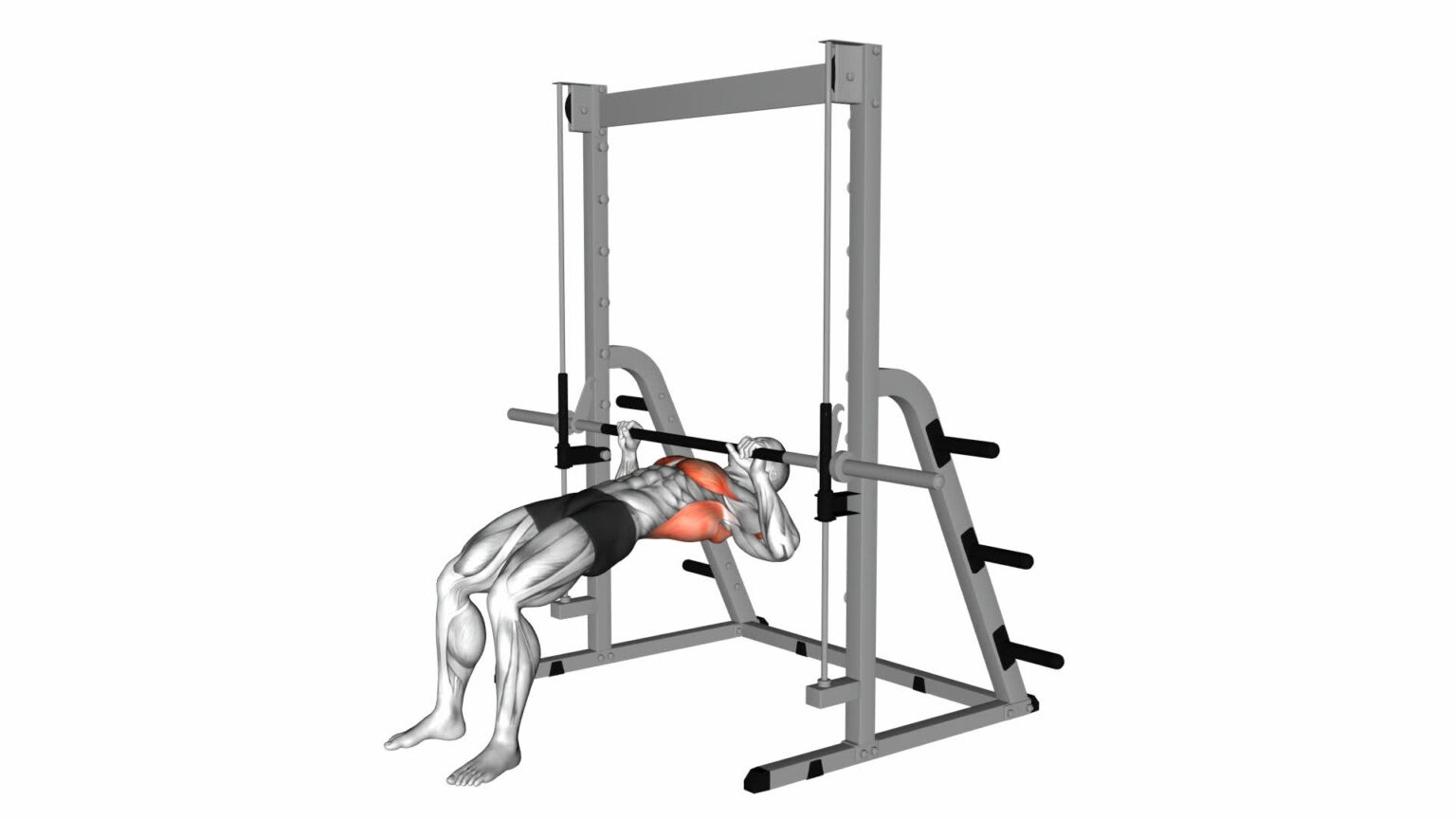 Inverted Row Bent Knees Ultimate Exercise Guide And Tips 8589