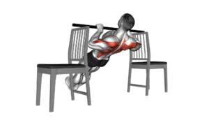 Inverted Row Between Chairs - Video Exercise Guide & Tips
