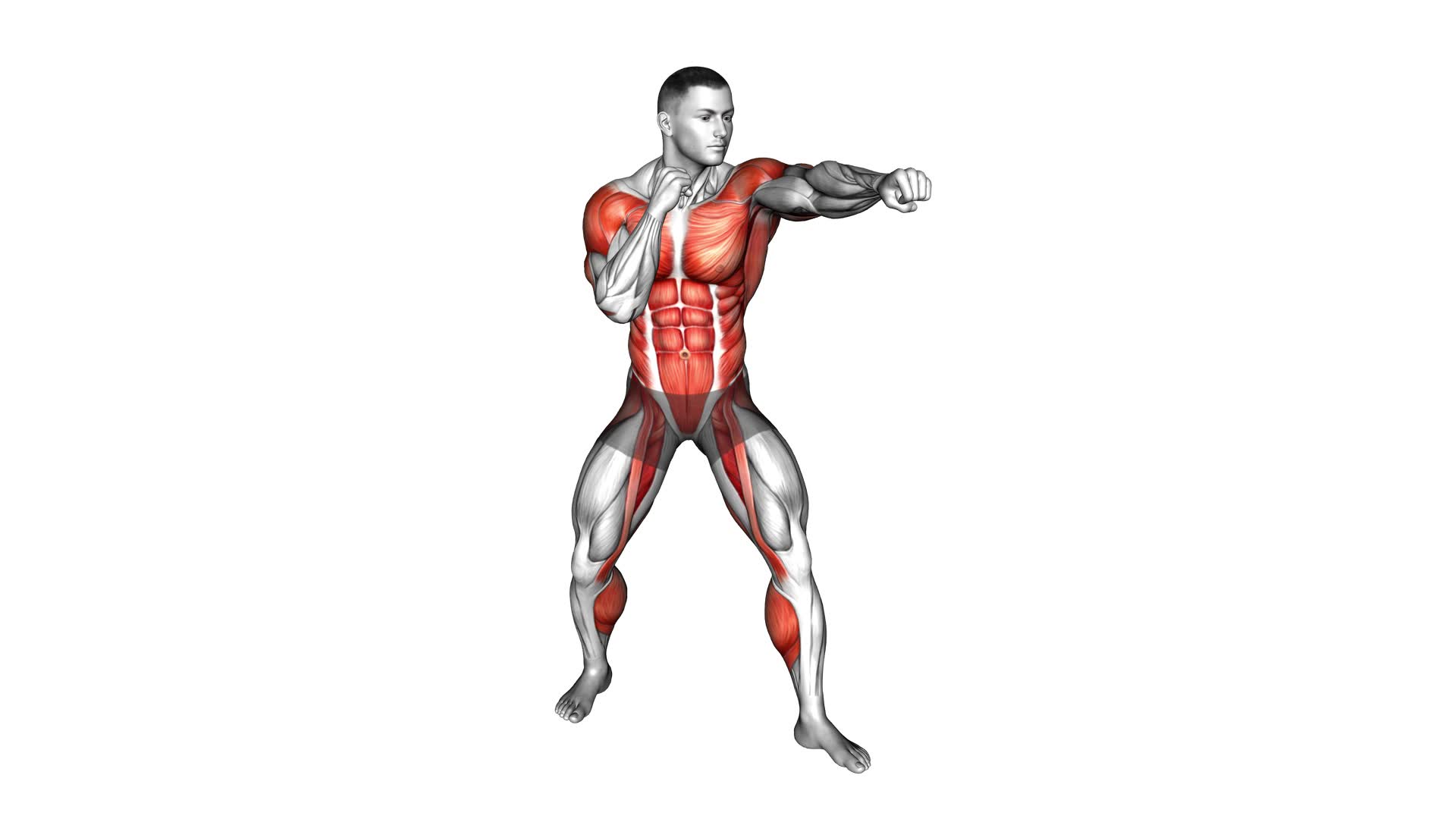 Jab Jab Right Cross (male) - Video Exercise Guide & Tips