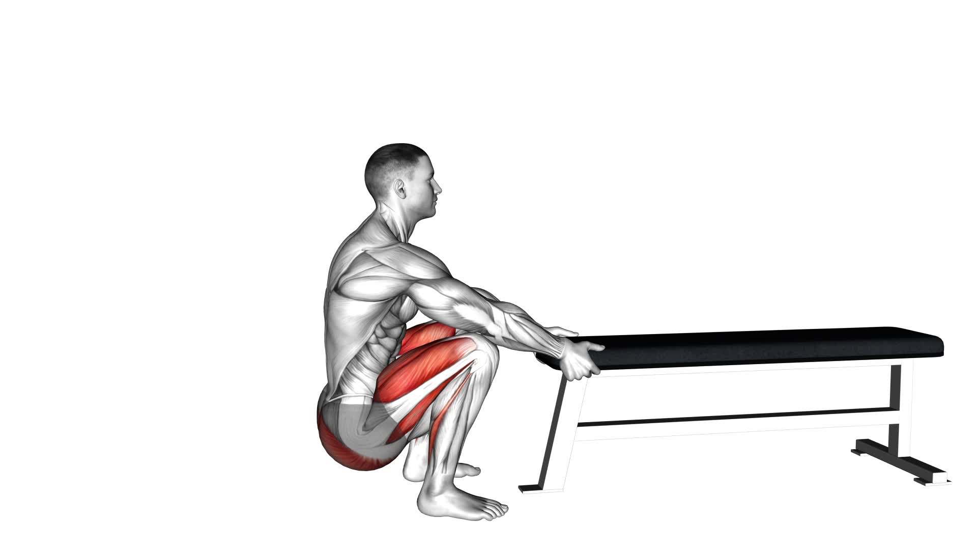 Jackknife (Donkey) Squat (male) - Video Exercise Guide & Tips