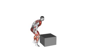 Jump Box (male) - Video Exercise Guide & Tips
