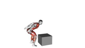 Jump on Fit Box (male) - Video Exercise Guide & Tips