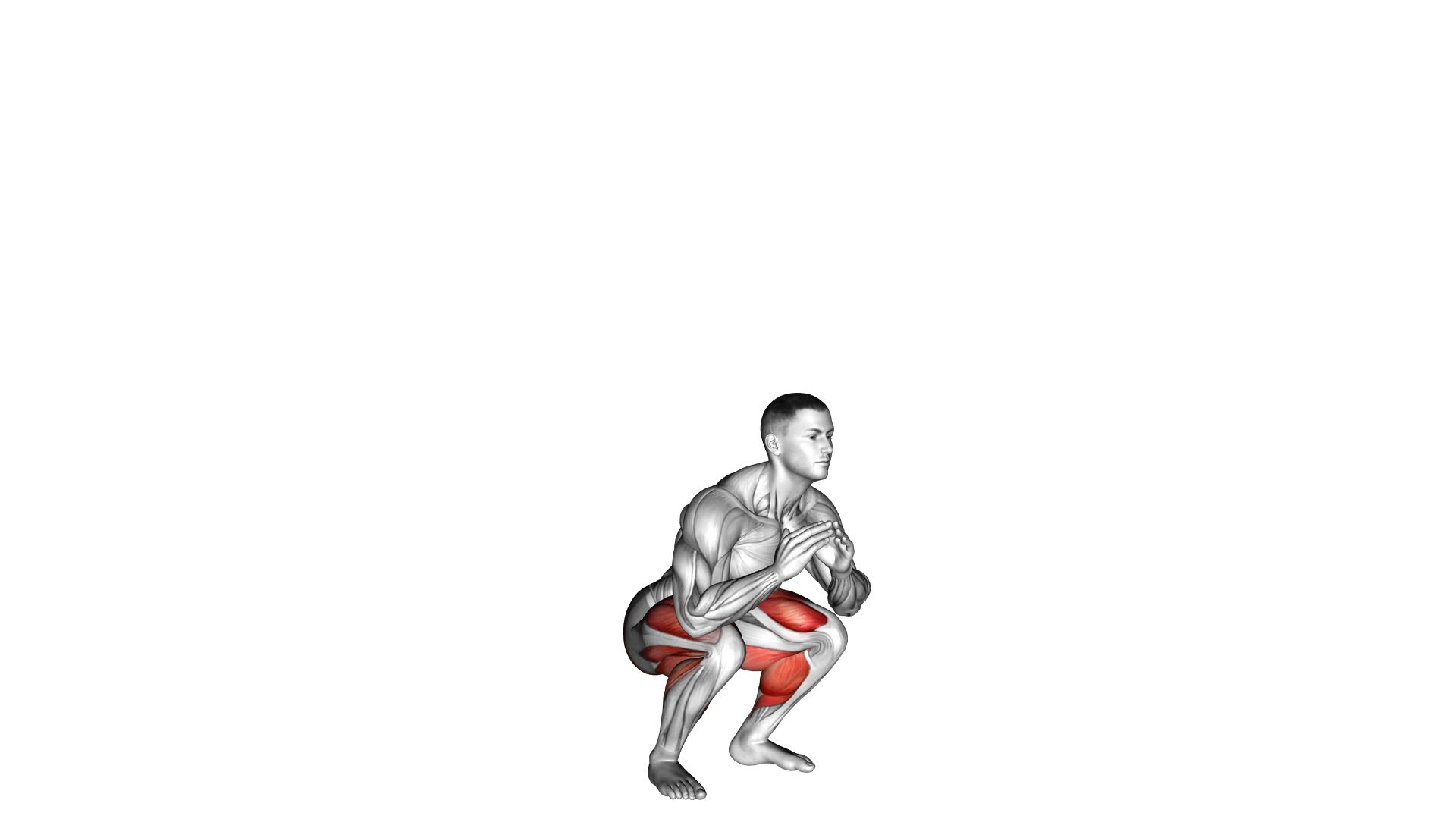 Jump Squat - Video Exercise Guide & Tips