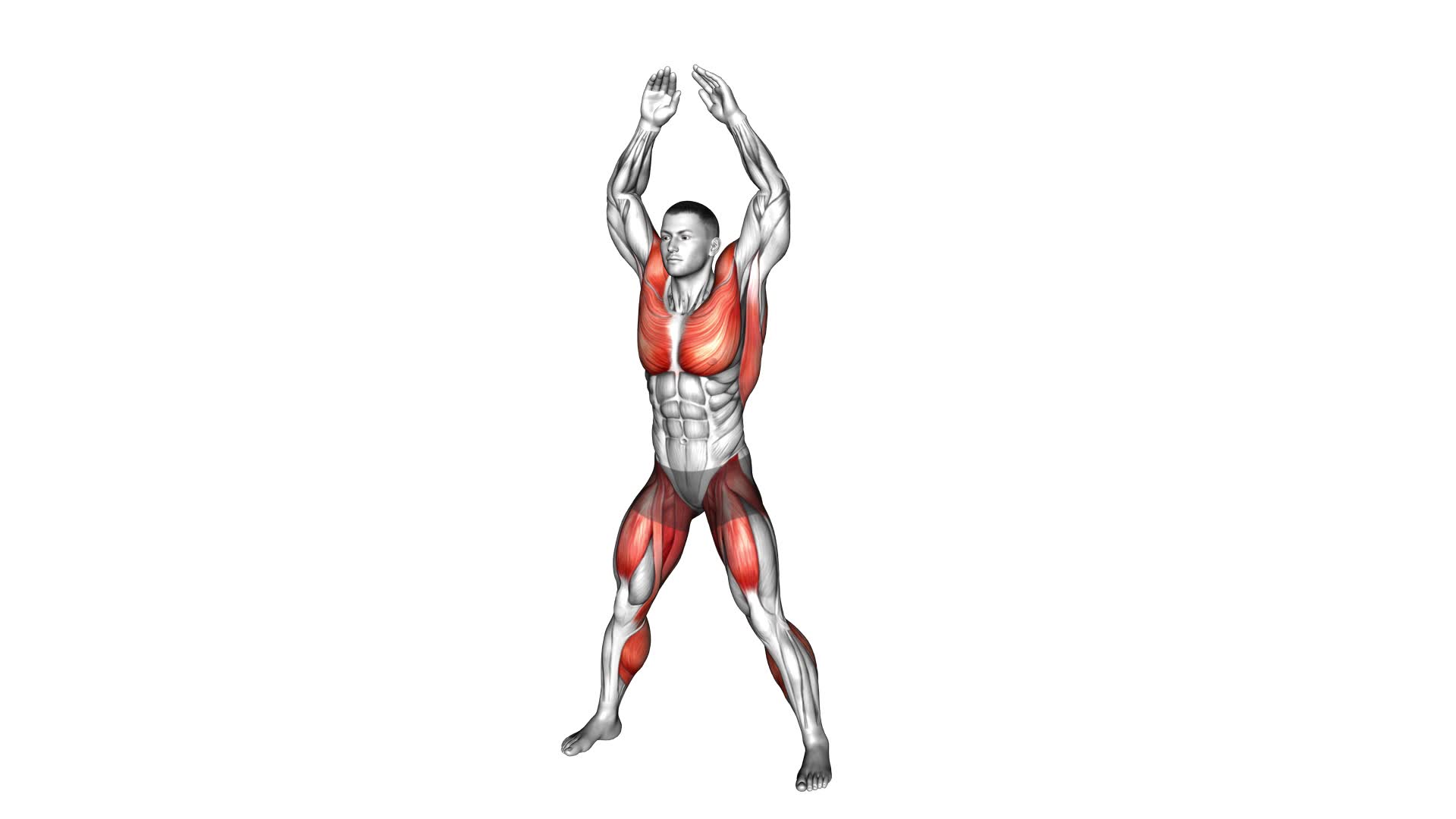 Jumping Jack (male) - Video Exercise Guide & Tips