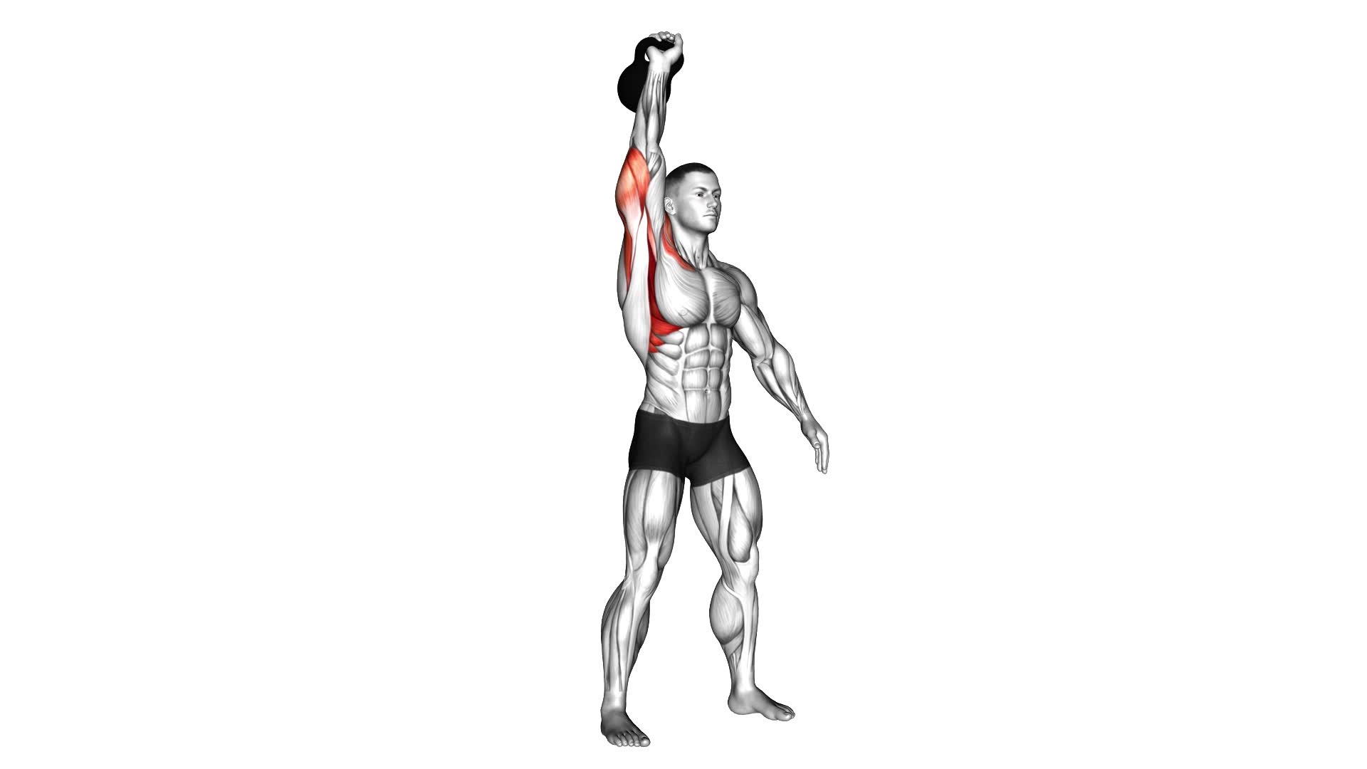 Kettlebell Arnold Press - Video Exercise Guide & Tips