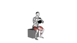 Kettlebell Box Squat - Video Exercise Guide & Tips