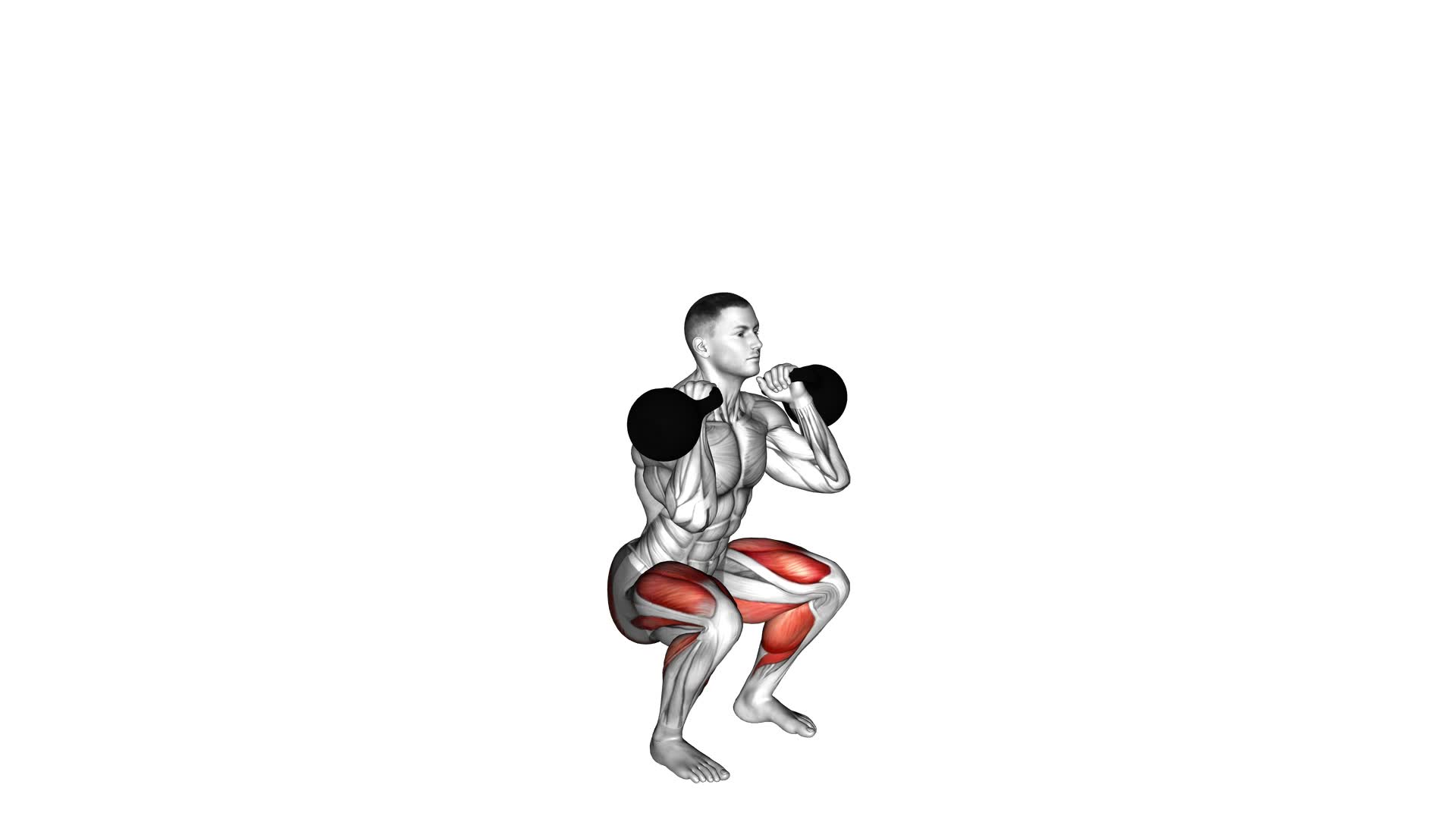 Kettlebell Calf Raise and Front Squat (male) - Video Exercise Guide & Tips