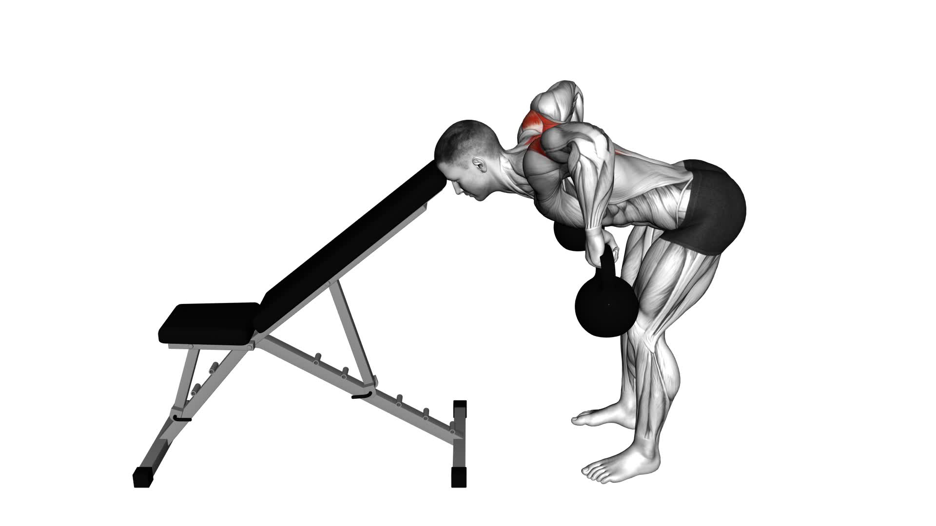 Kettlebell Head Supported Row - Video Exercise Guide & Tips