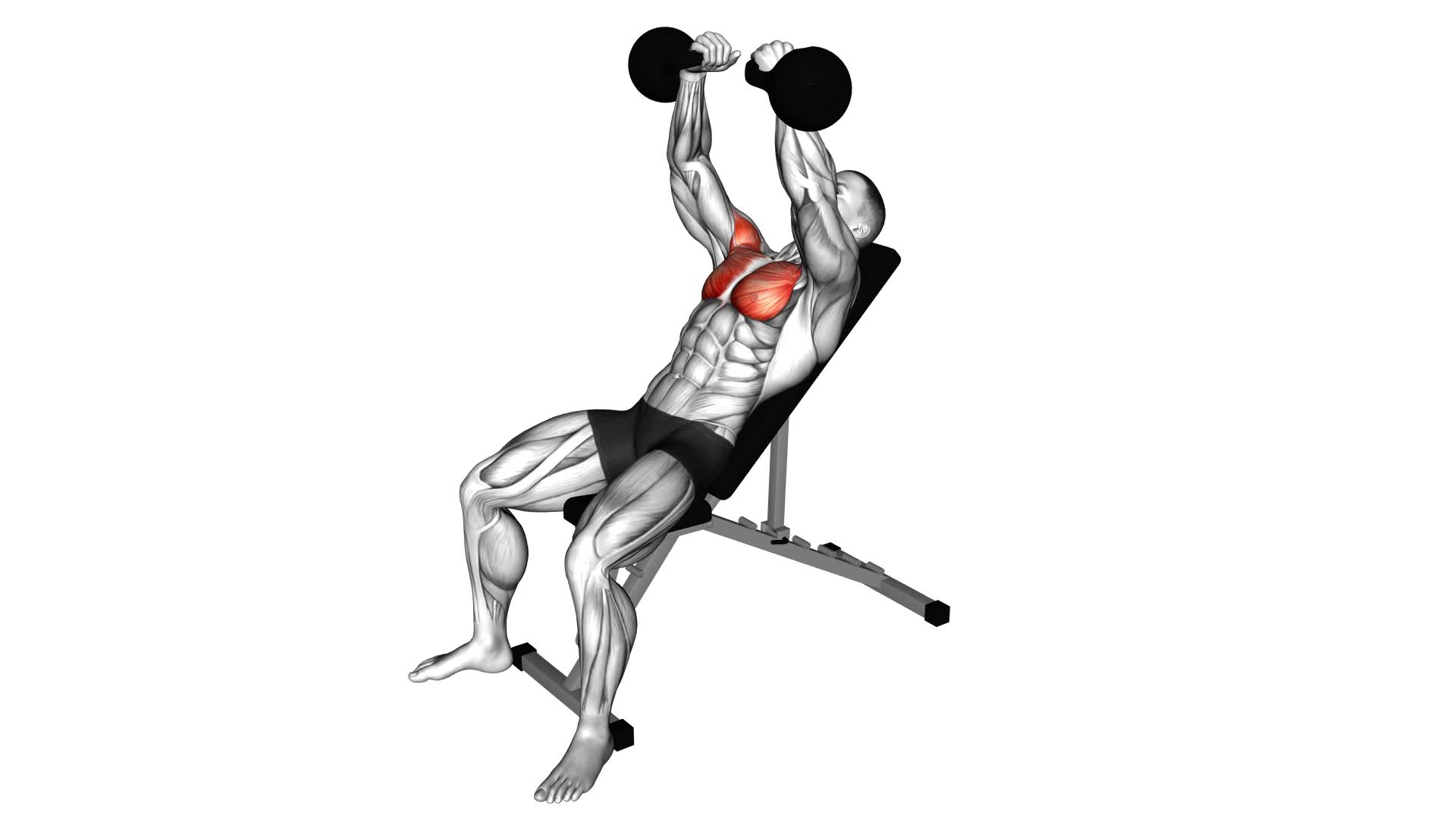 Kettlebell Incline Fly - Video Exercise Guide & Tips
