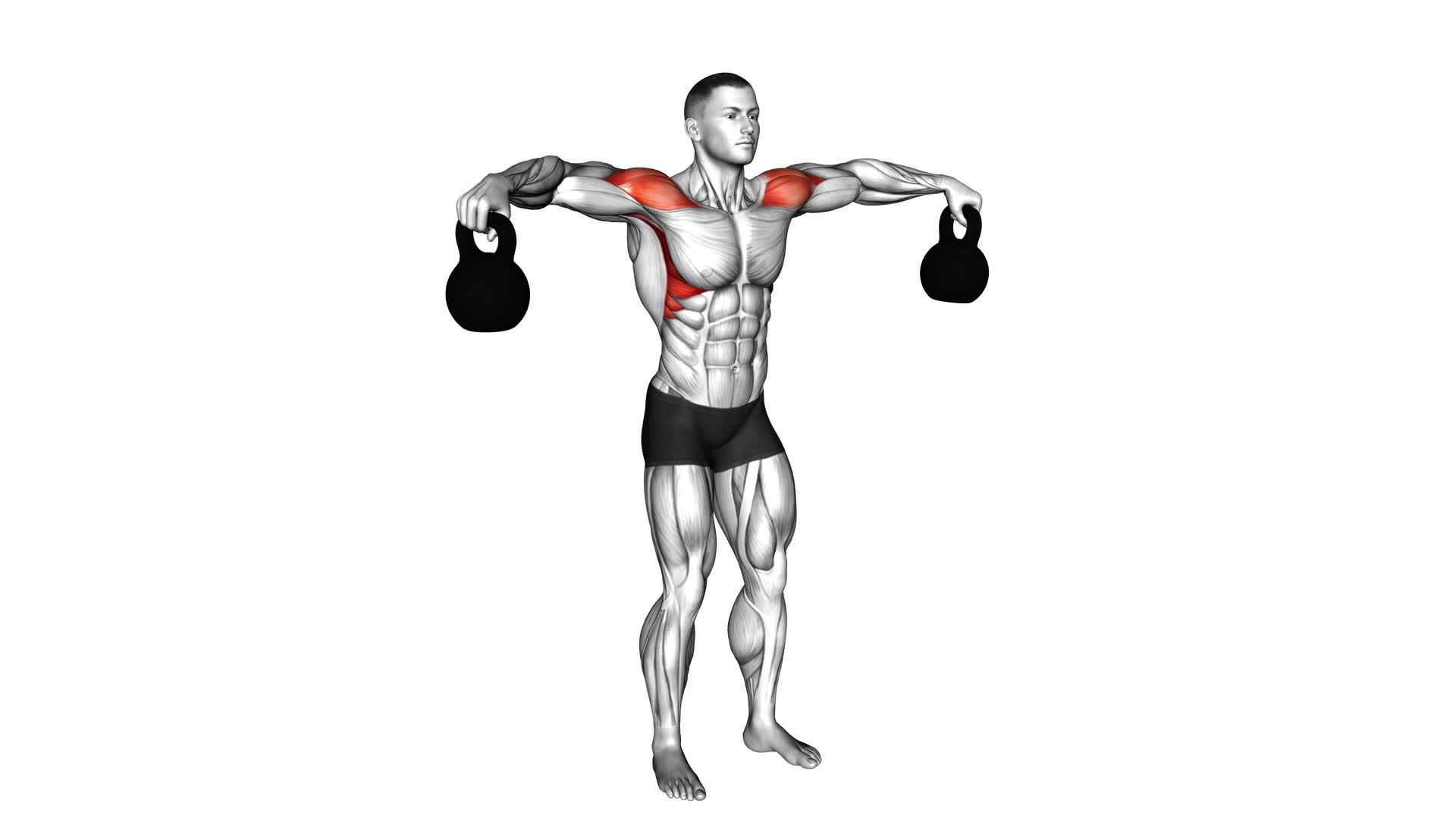 Kettlebell Lateral Raise - Video Exercise Guide & Tips