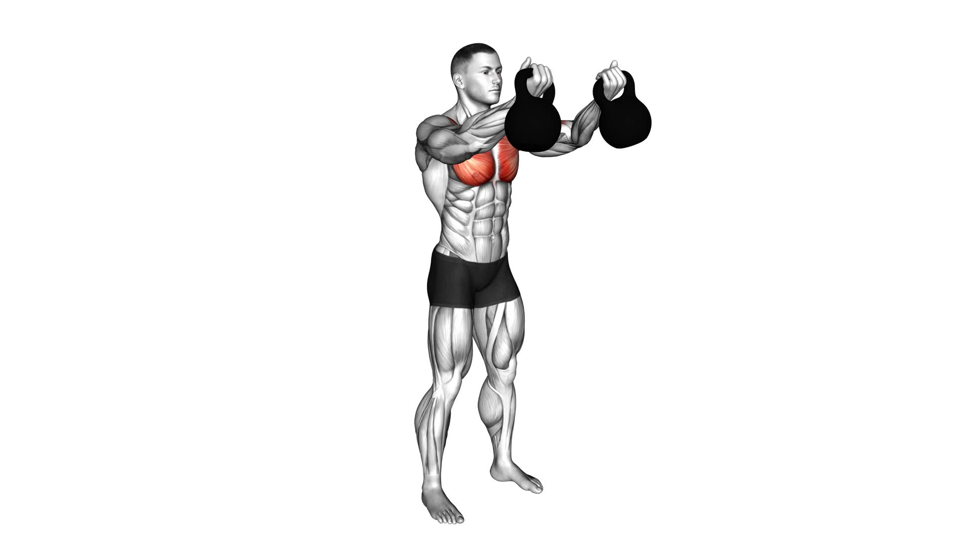 Kettlebell Low Fly (male) - Video Exercise Guide & Tips