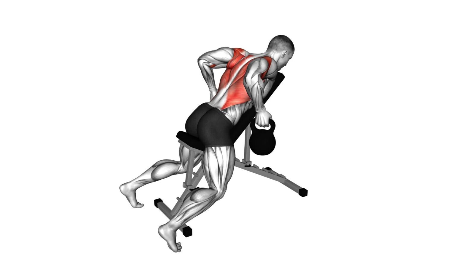 Rear Back Row Kettlebell Rear Delt Row: Exercise Guide & Tips
