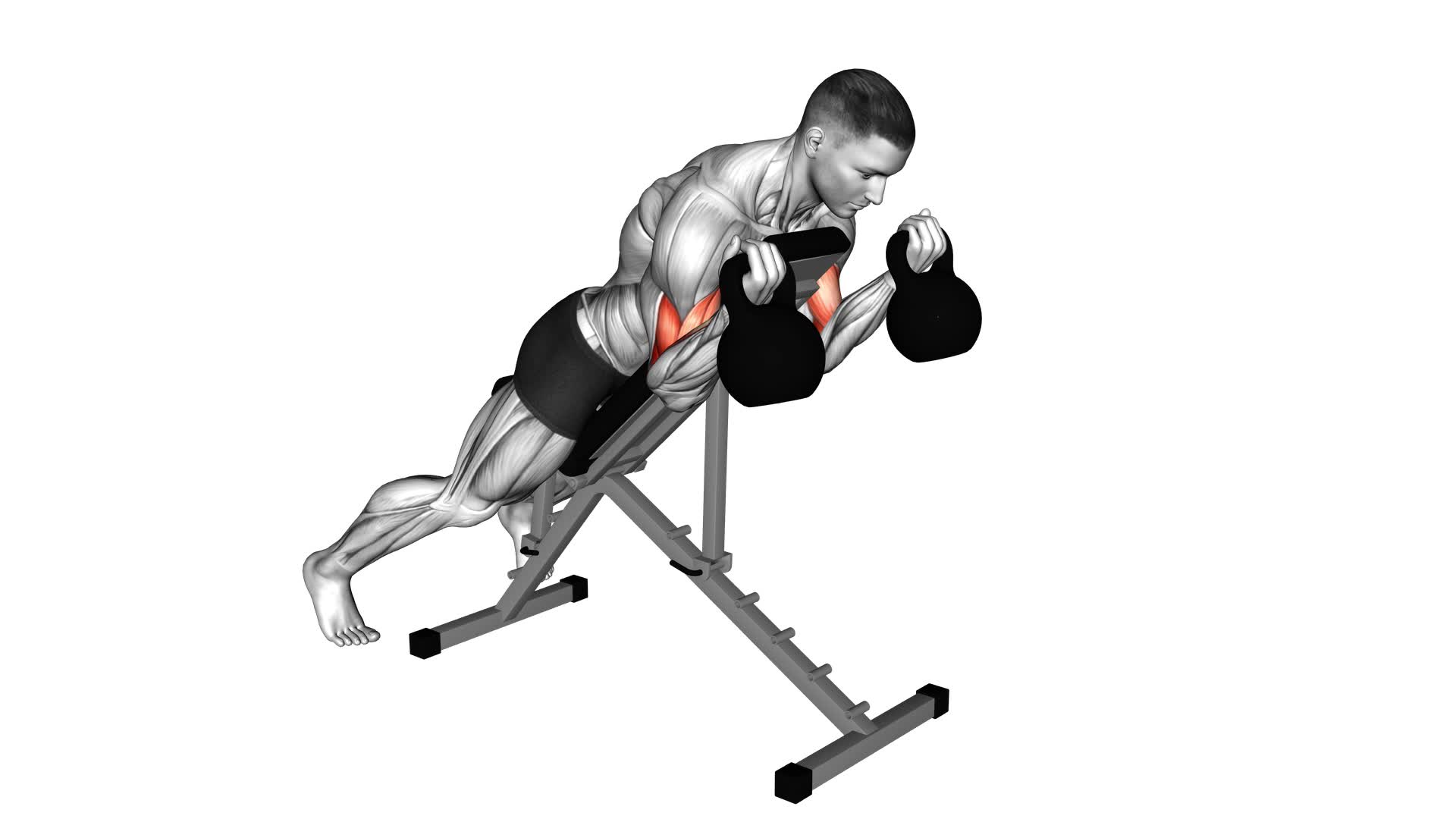 Kettlebell Prone Incline Curl - Video Exercise Guide & Tips