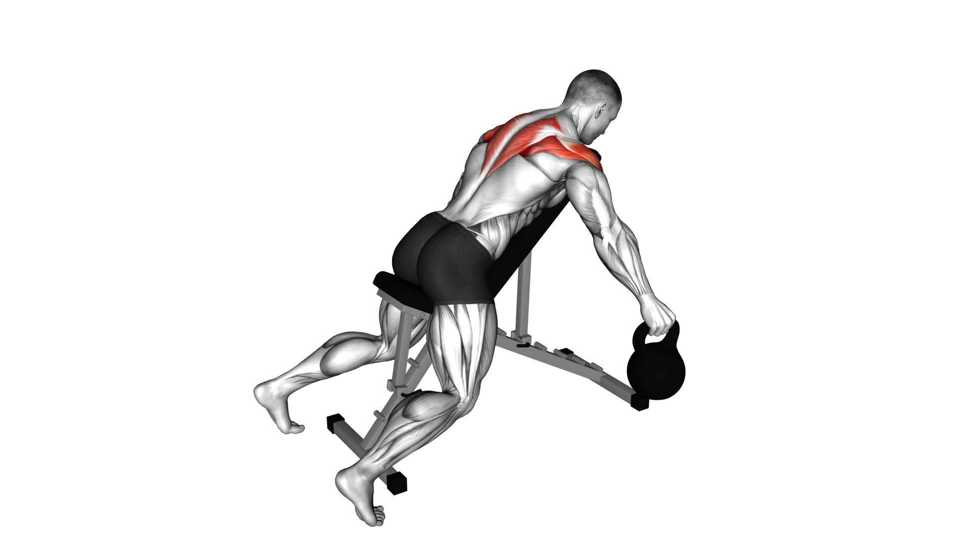 Kettlebell Prone Rear Delt Swing - Video Exercise Guide & Tips