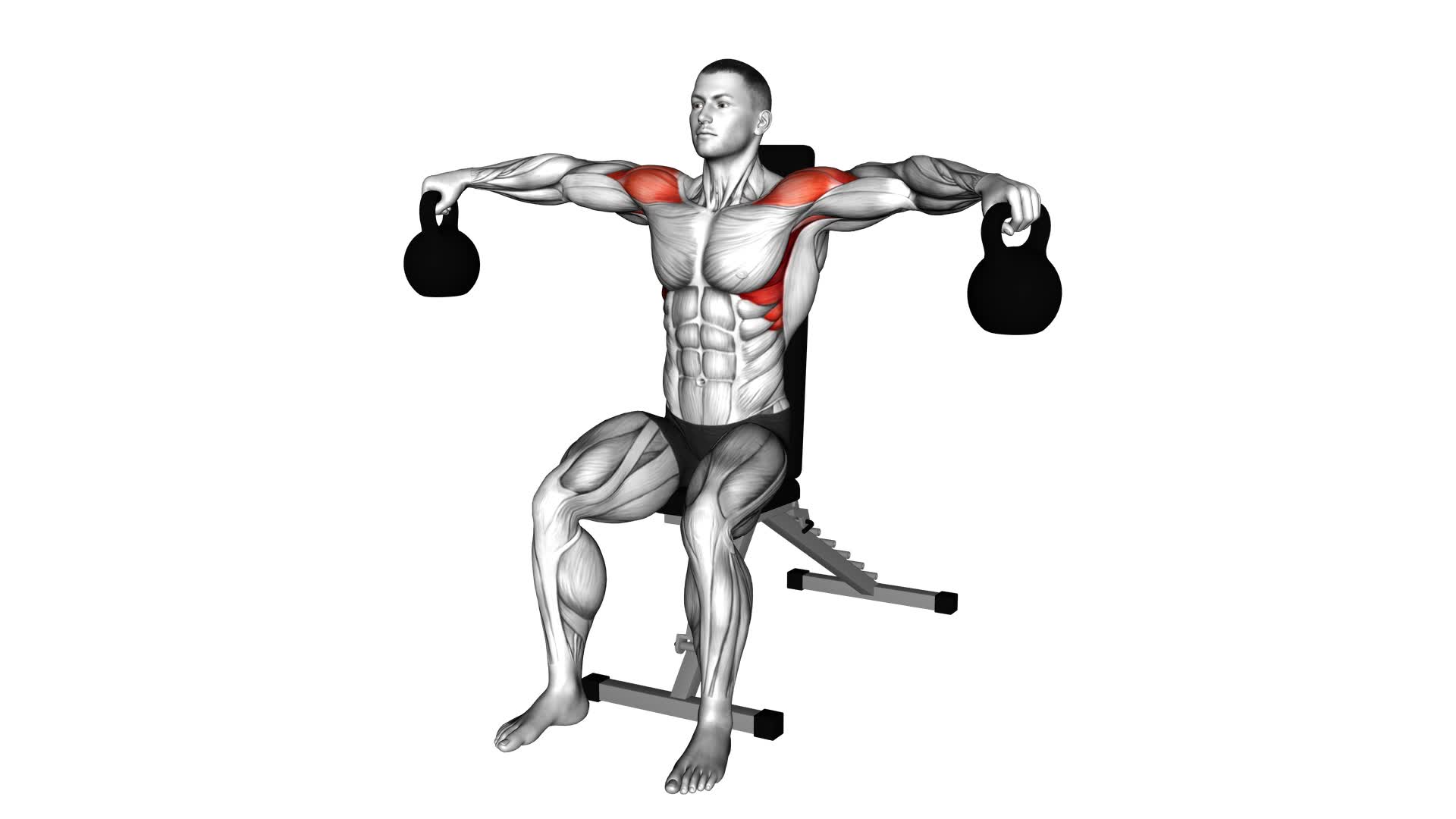 Kettlebell Seated Lateral Raise - Video Exercise Guide & Tips
