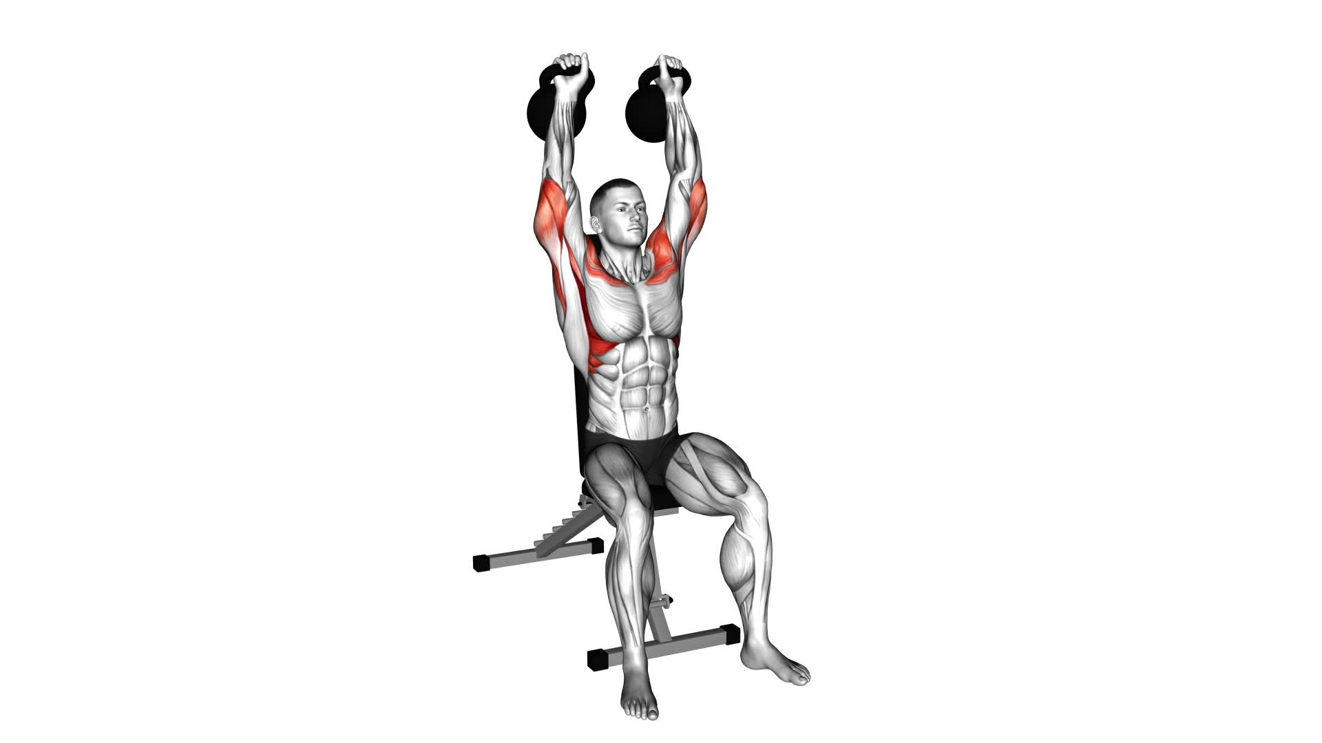 Kettlebell Seated Shoulder Press - Video Exercise Guide & Tips