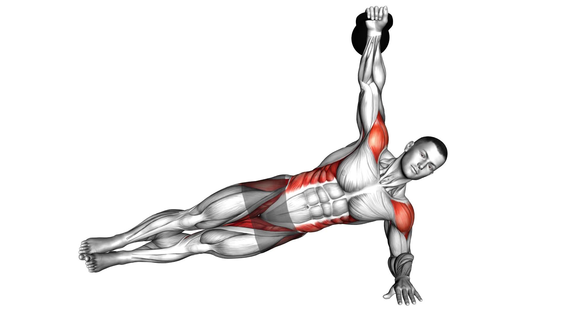 Kettlebell Side Plank (male) - Video Exercise Guide & Tips
