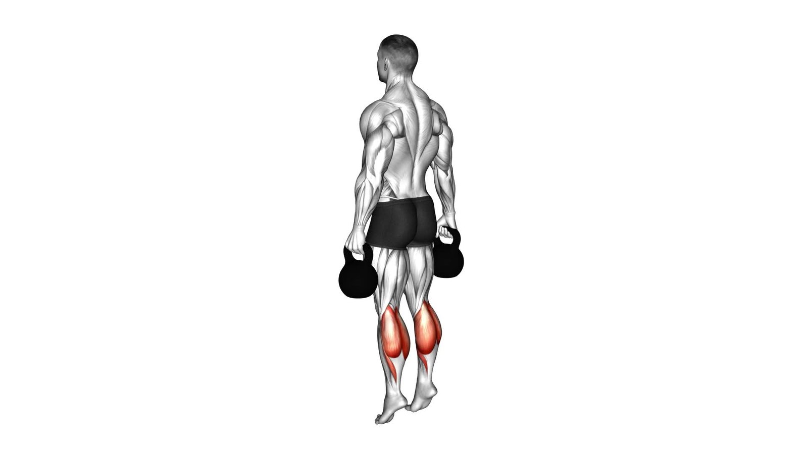 Kettlebell Standing Calf Raise - Video Exercise Guide & Tips