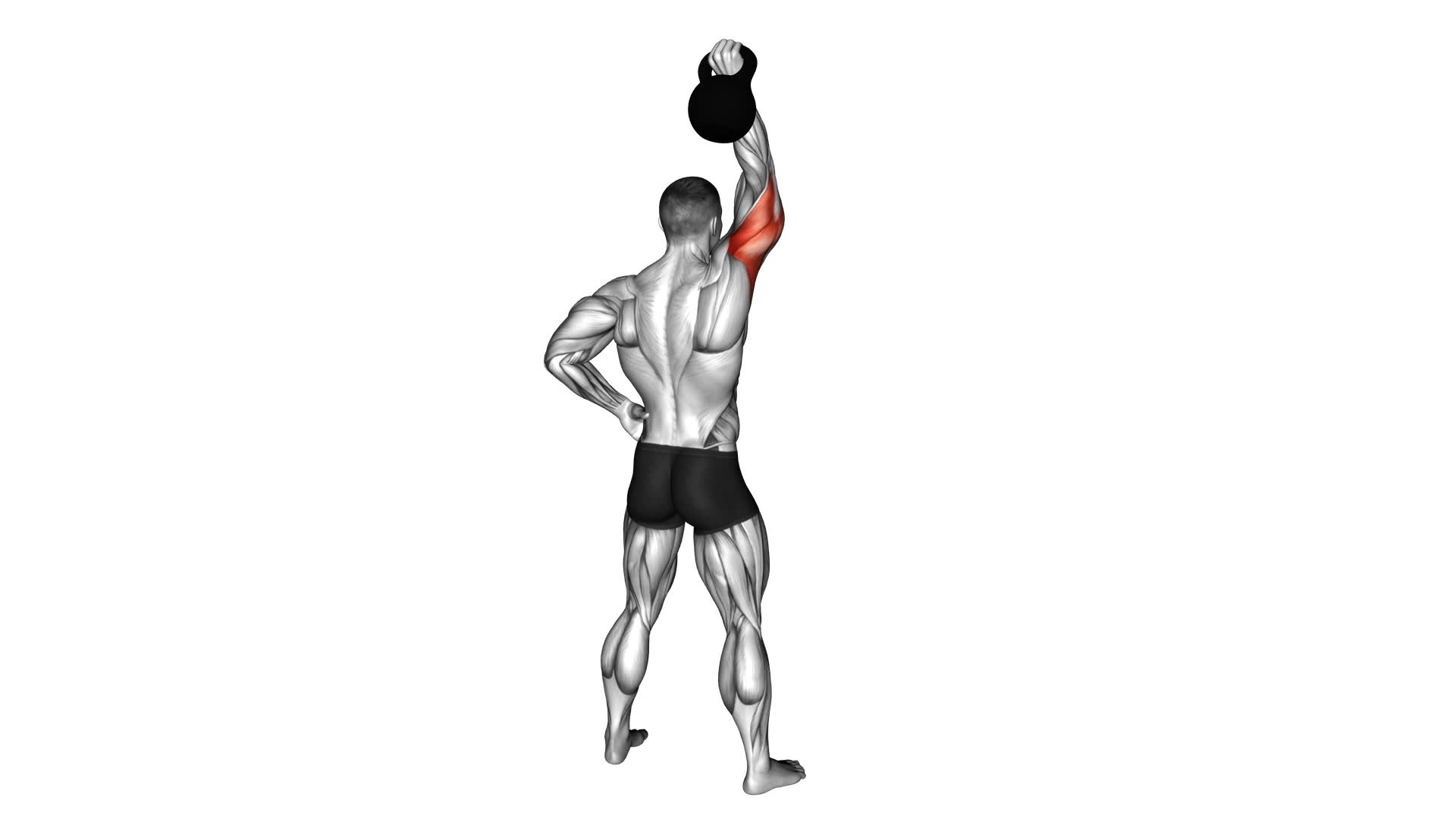 Kettlebell Standing One Arm Extension - Video Exercise Guide & Tips