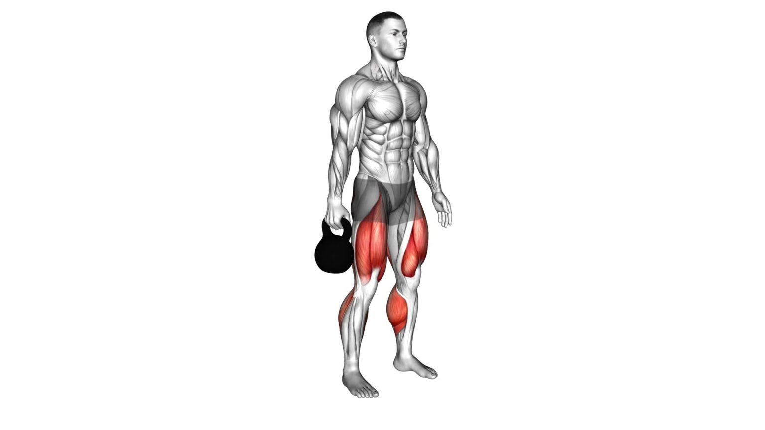 Dumbbell Suitcase Carry: Ultimate Exercise Guide & Tips